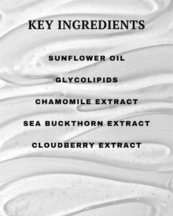 List of key ingredients with a white background