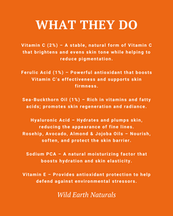 List of ingredients with their functions on an orange background, featuring Wild Earth Naturals branding.