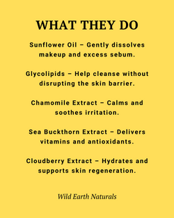 List of skincare ingredients with their functions on a yellow background, featuring Wild Earth Naturals branding.