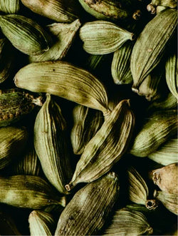 Cardamom + Ginger Spice Hand & Body Wash