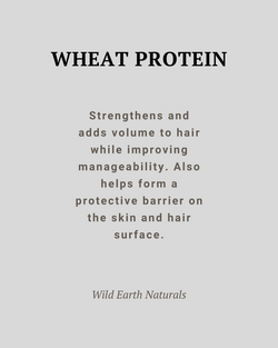 Text about wheat protein's benefits on a gray background, attributed to Wild Earth Naturals.